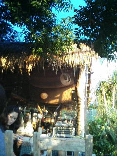 c0019774_23562859.jpg
