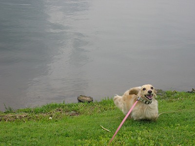 a0038882_20112332.jpg