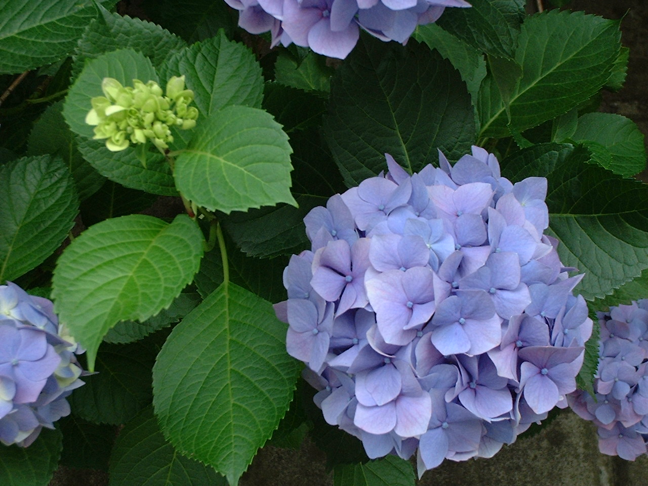 b0089483_2155491.jpg