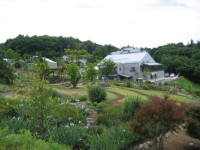 e0049598_13412252.jpg