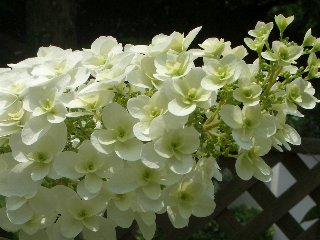 b0061107_14591578.jpg