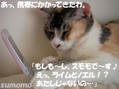 f0063729_101464.jpg
