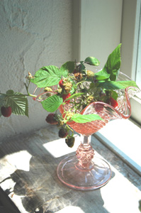 f0029536_1638720.jpg