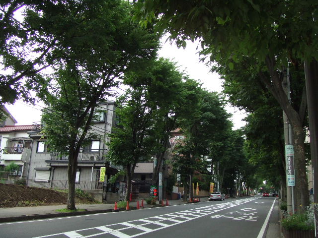 c0071545_10463422.jpg