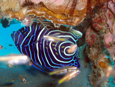 d0065247_2253655.jpg