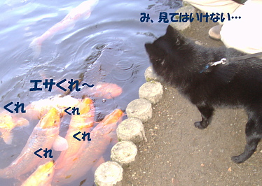 a0009750_14203830.jpg