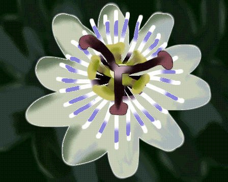 f0101759_138856.gif