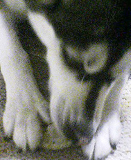 c0028664_22205688.jpg