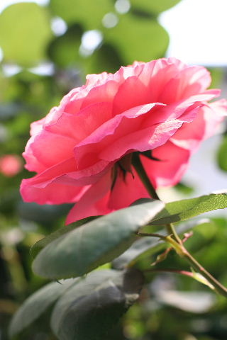 b0055171_2244951.jpg
