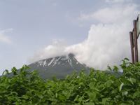 b0105674_2242850.jpg