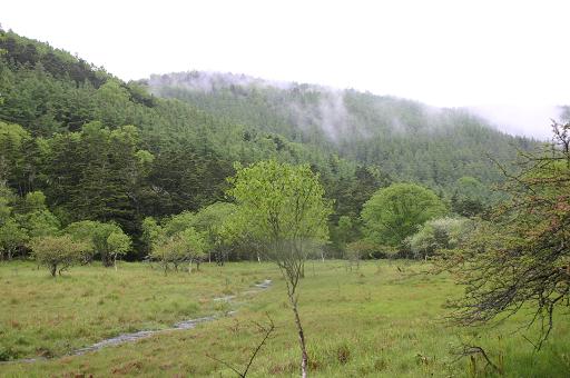 f0054075_1031411.jpg