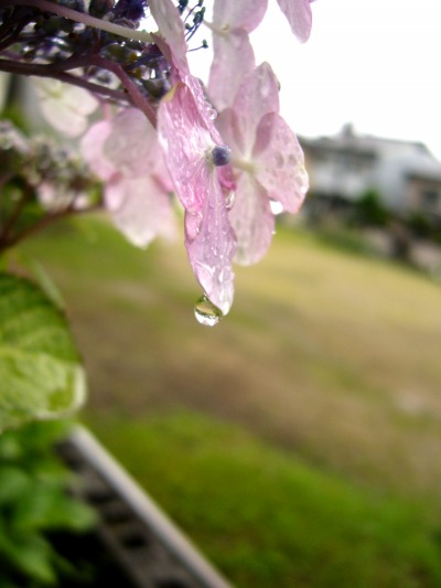 b0080789_1963931.jpg