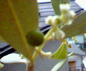 b0007895_225532.jpg