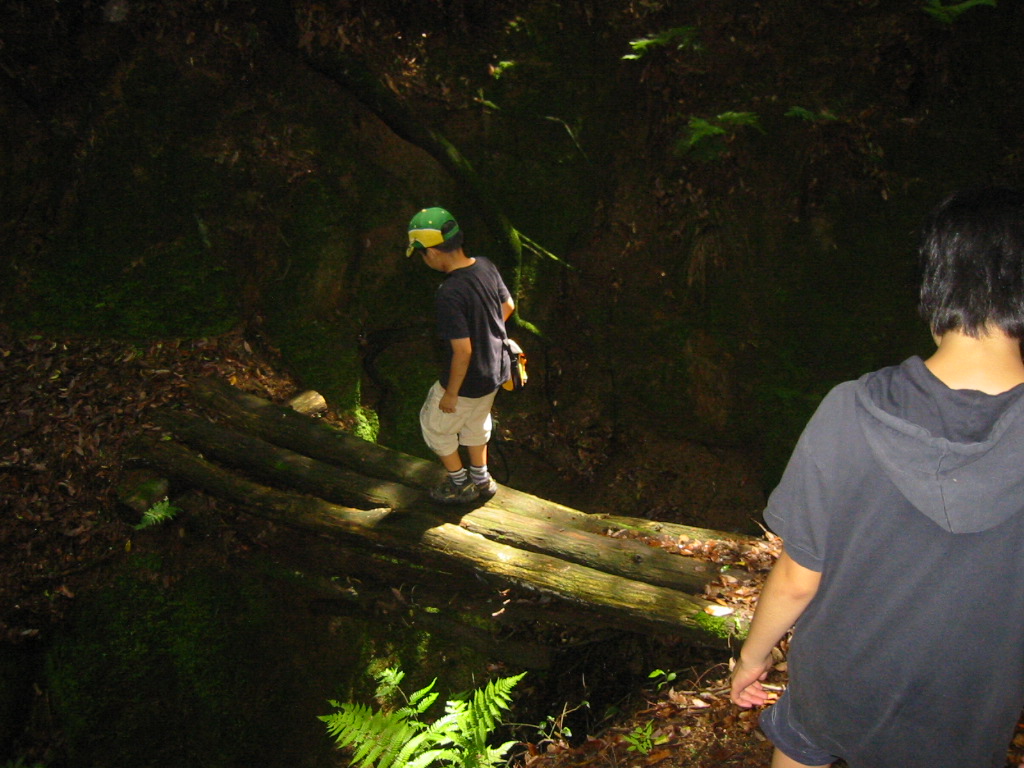 f0013998_19453761.jpg