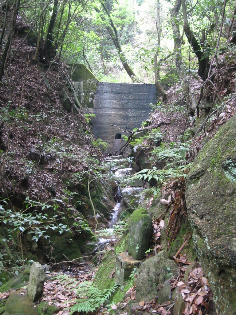 f0013998_19464147.jpg