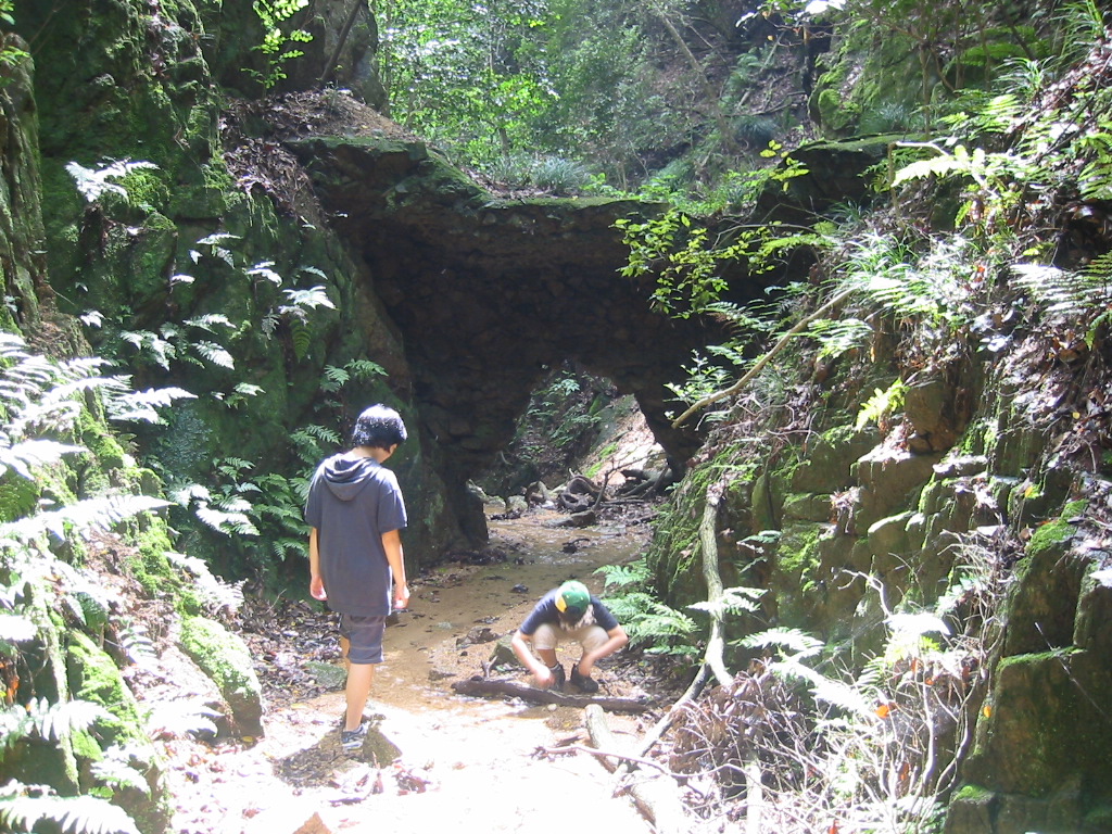 f0013998_19465153.jpg