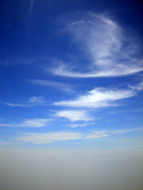 e0019200_102147.jpg