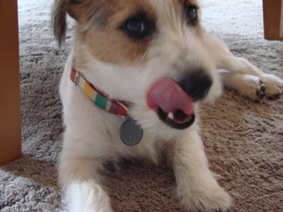f0080105_13133313.jpg