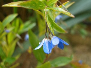 b0061107_2341167.jpg