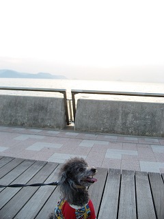 b0032513_23532970.jpg