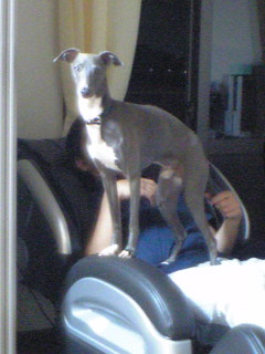 c0003217_2325997.jpg