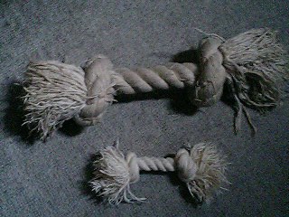 e0026017_2355735.jpg