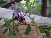 b0034422_23585223.jpg