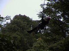 e0055023_16104339.jpg