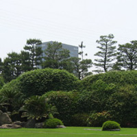 d0033734_12103354.jpg