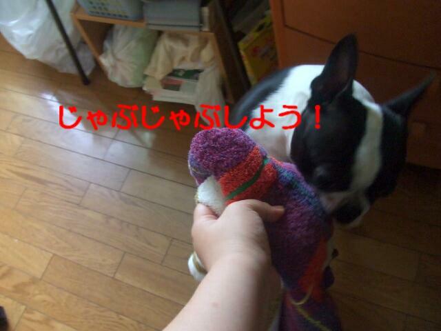 f0059334_912597.jpg
