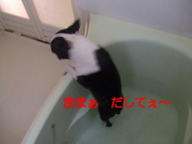 f0059334_918665.jpg