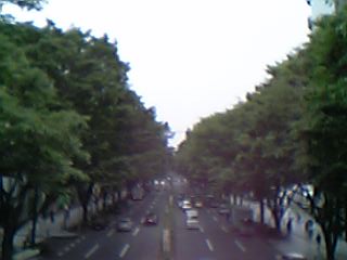 e0087443_2349421.jpg