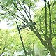 b0091248_23594199.jpg