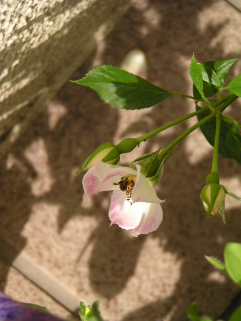 f0074659_23221912.jpg