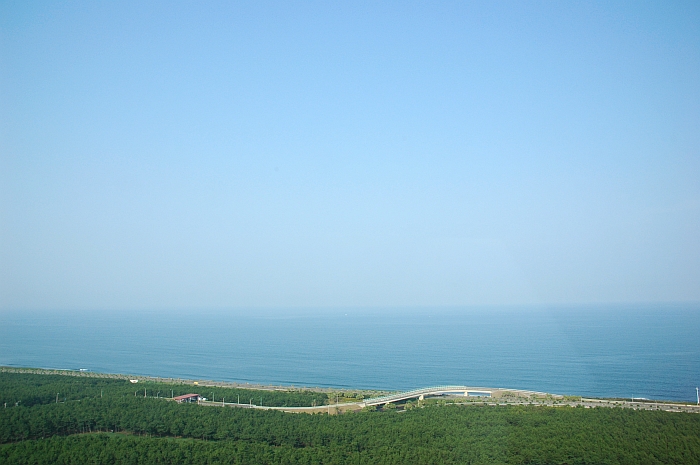 e0013365_213873.jpg