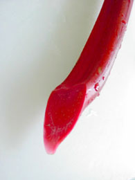 f0032969_14244242.jpg
