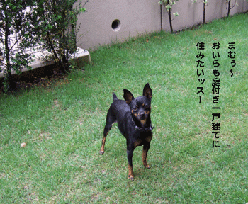 c0012571_12575926.gif