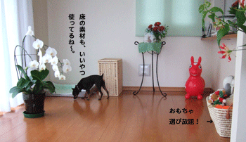 c0012571_12584991.gif