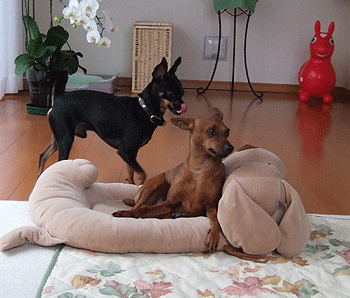 c0012571_130733.gif