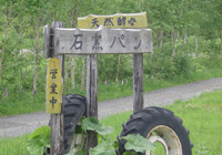 b0105674_0361380.jpg