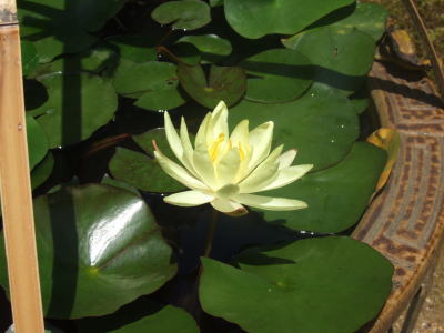 f0004182_22421226.jpg