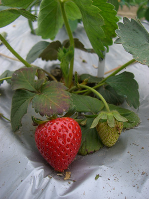 f0070493_23364575.jpg
