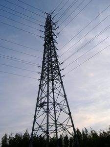 e0077498_1552811.jpg