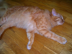 f0041600_10385385.jpg