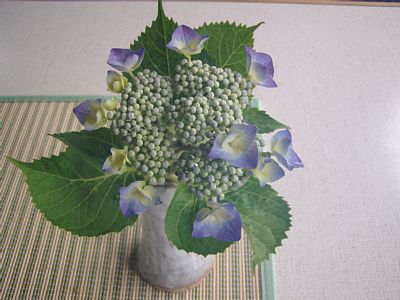 c0007502_2205971.jpg