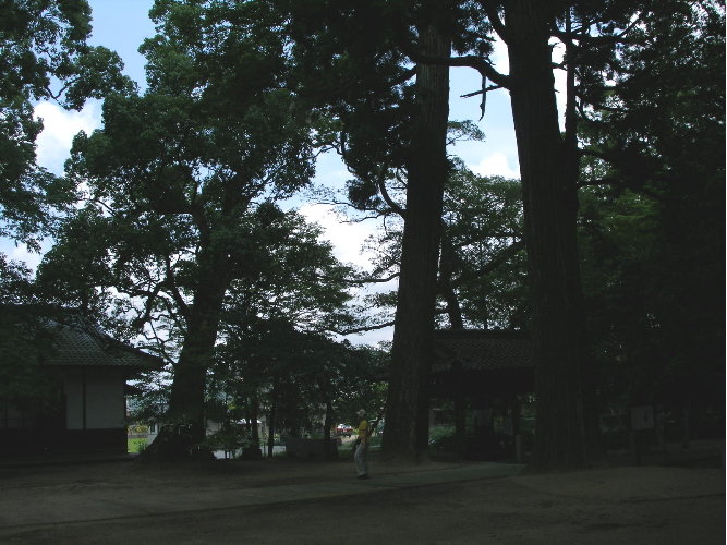 c0036203_19125878.jpg