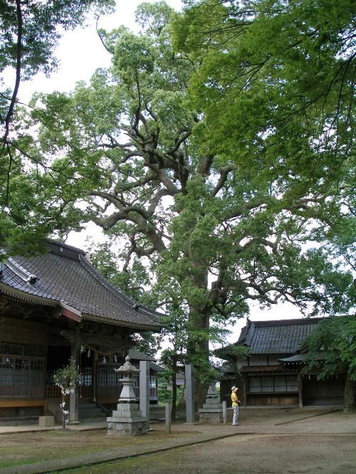 c0036203_192134.jpg