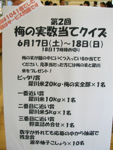 c0036203_2044203.jpg