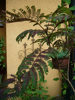 f0065604_21101198.jpg