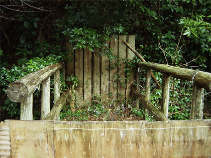 f0108813_2354747.jpg
